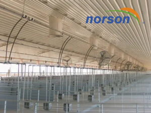 Home norson